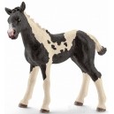 SCHLEICH 13803 ŁACIATY ŹREBAK