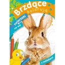 BRZDĄCE KOLORUJĄ ZWIERZAKI NA WSI Z NAKLEJKAMI