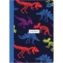 ZESZYT W TRZY LINIE A5 16K LINIA TRENDS BOYS