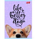 ZESZYT A4 32K LINIA PODWÓJNA LAMINAT UNIPAP