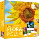 ADAMIGO GRA MEMORY FLORA POLSKI