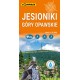 MAPA JESIONIKI GÓRY OPAWSKIE 1:50 000 LAMINOWANA COMPASS